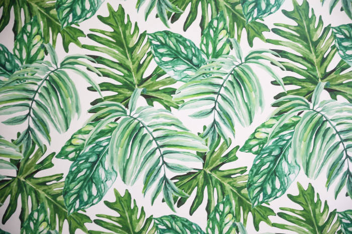 Huge Green Leaves Aesthetic Wallpaper