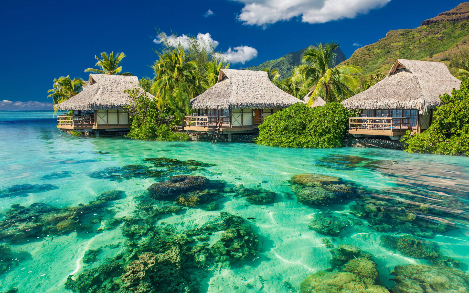 Huts In Tahiti Torpical Desktop Wallpaper