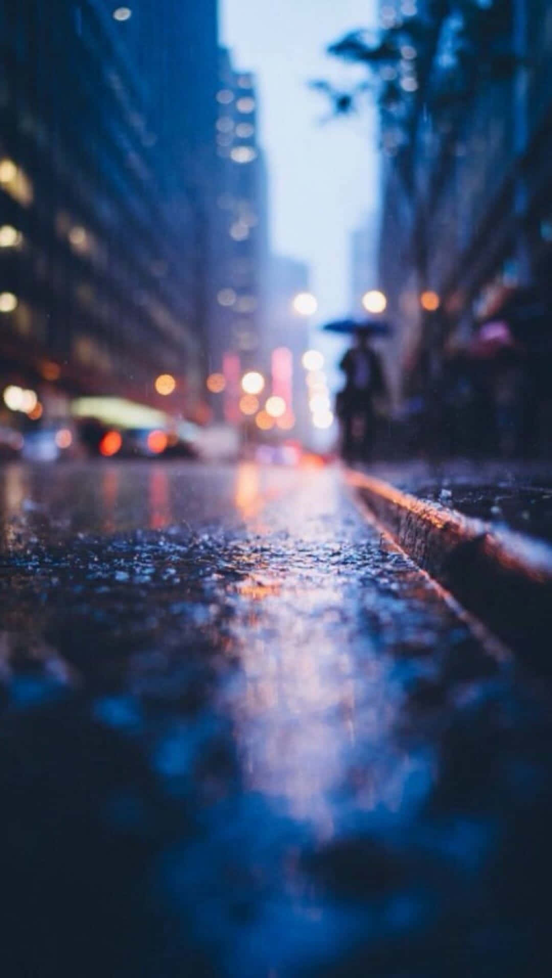 Illustrious Raindrops Falling On An Autumn Day Wallpaper