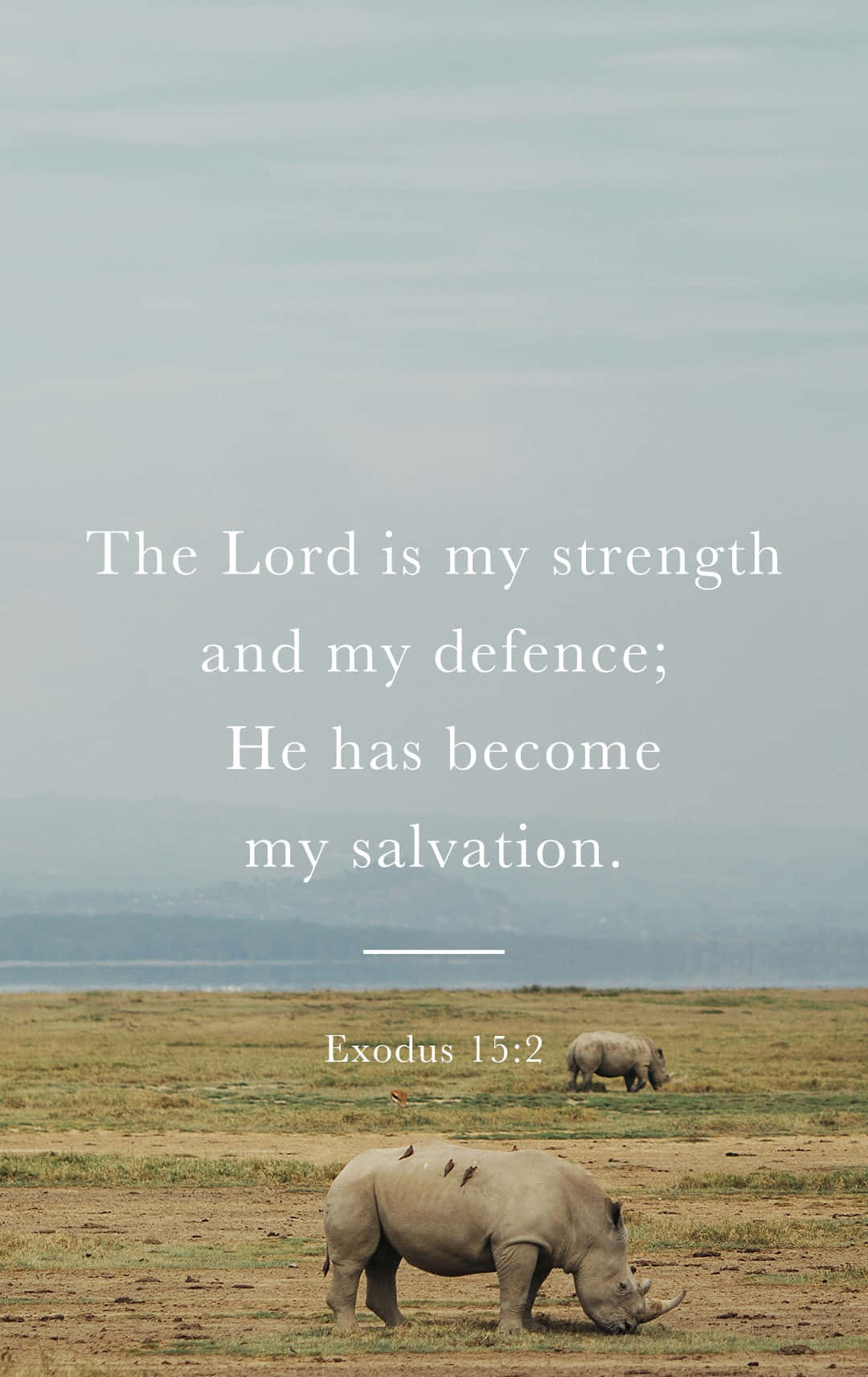 Image “download Bible Verse Phone Wallpaper Now” Wallpaper