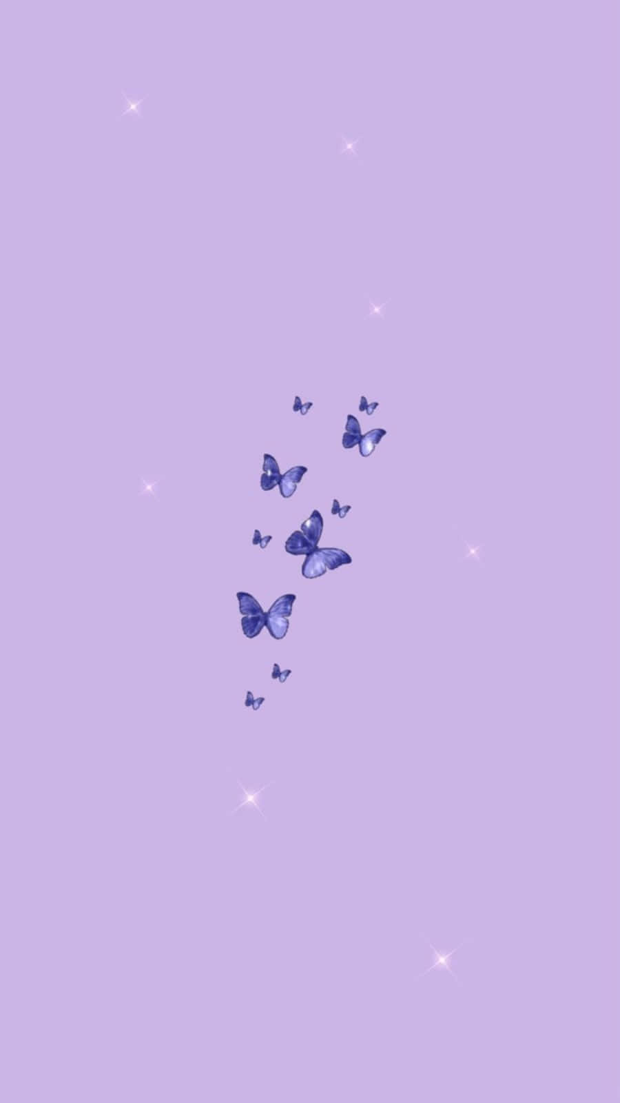 Image Funny, Cute Light Purple Bunny Wallpaper