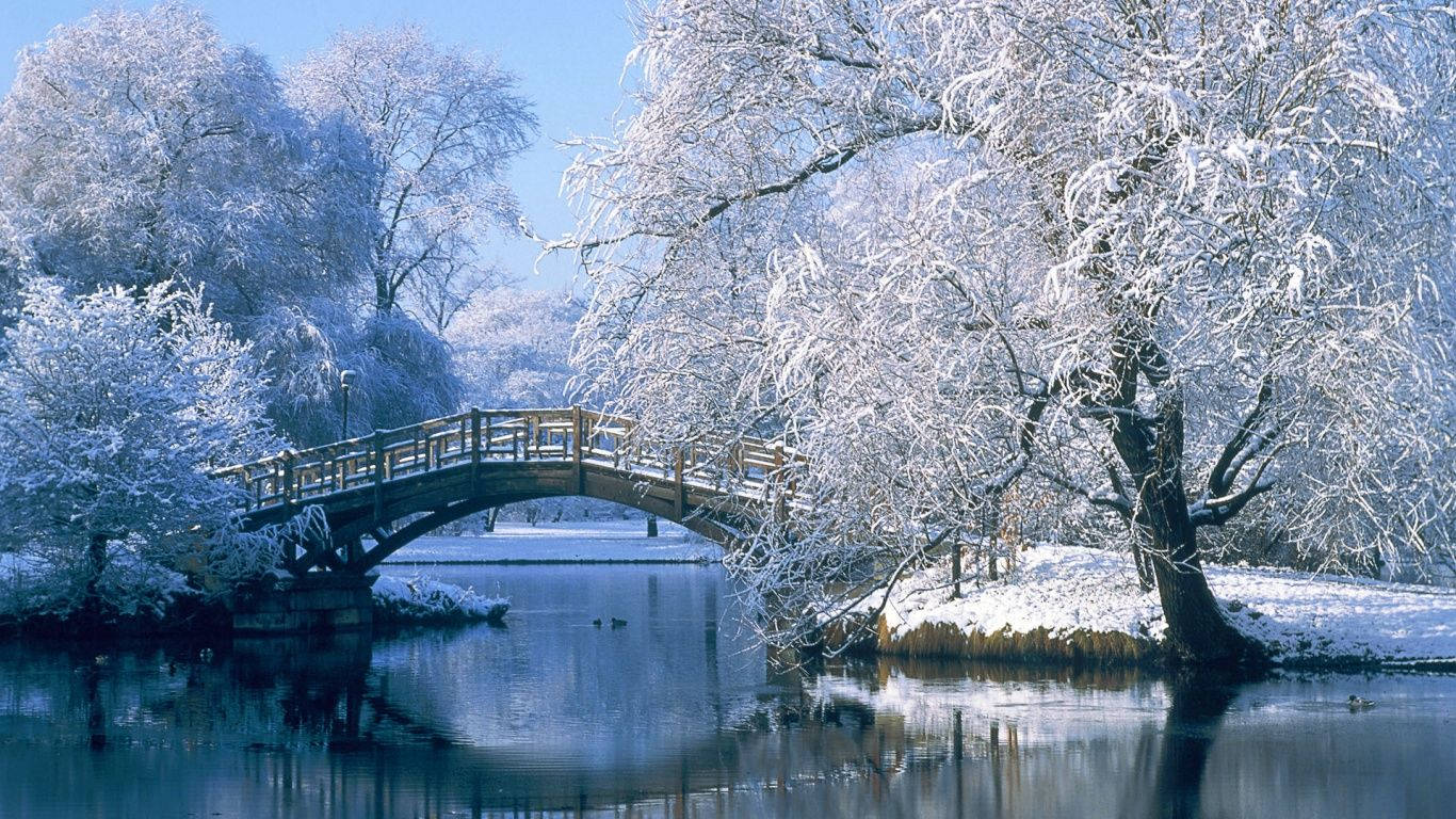 Image Snow Blankets Winter Landscape Wallpaper