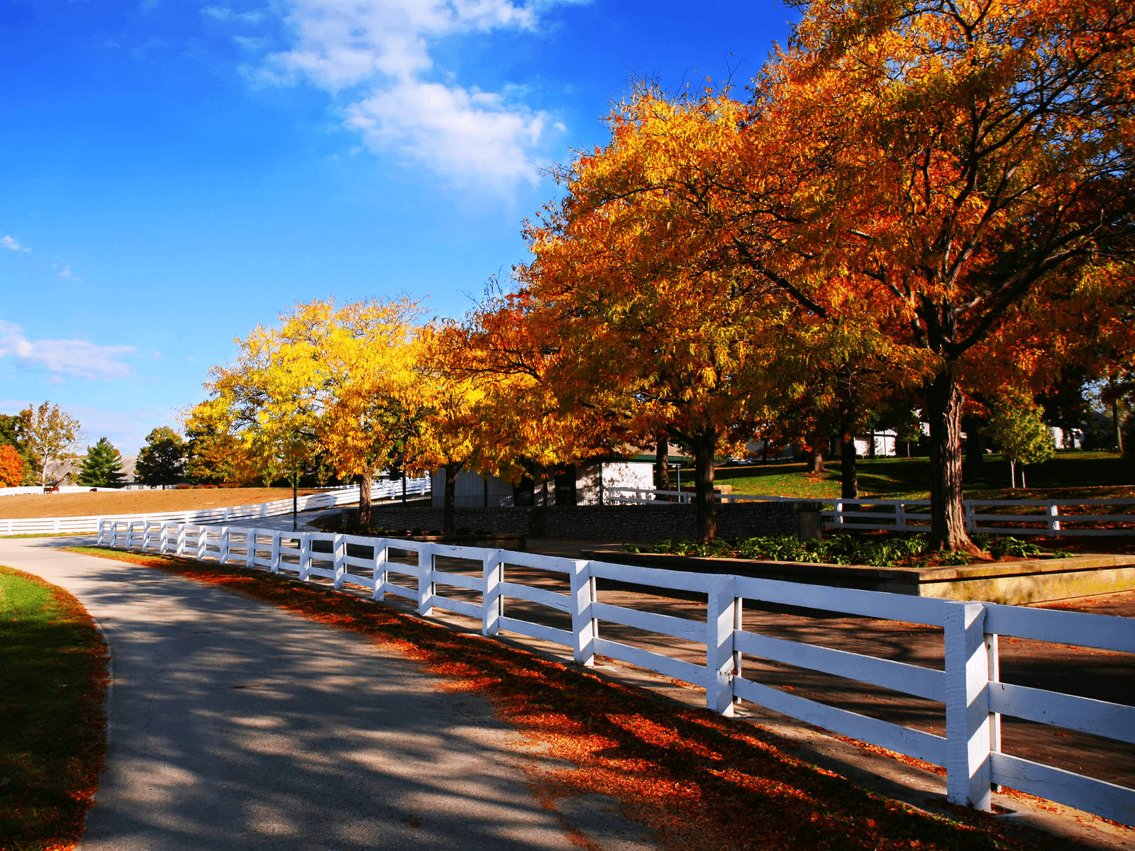 Image Walking Through A Picturesque Fall Farm Wallpaper