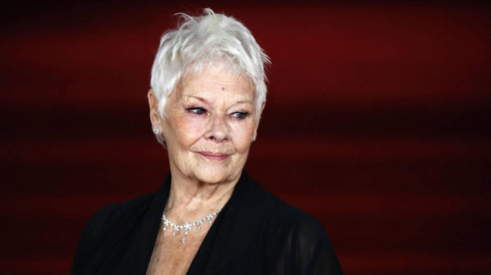 Incredible Actress Judy Dench Wallpaper