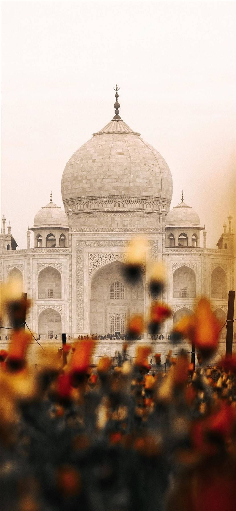 Indian Aesthetic Taj Mahal Flowers Wallpaper