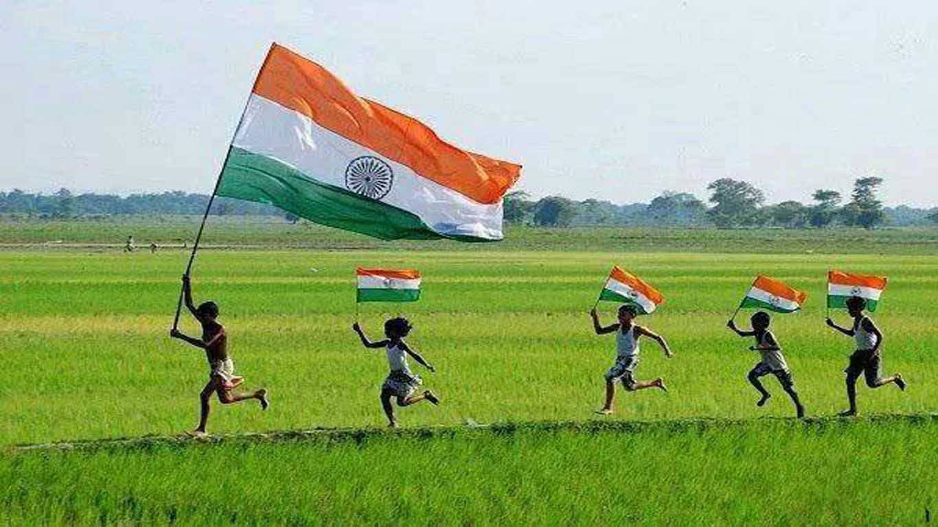 Indian Flag Hd Race At The Rice Field Wallpaper