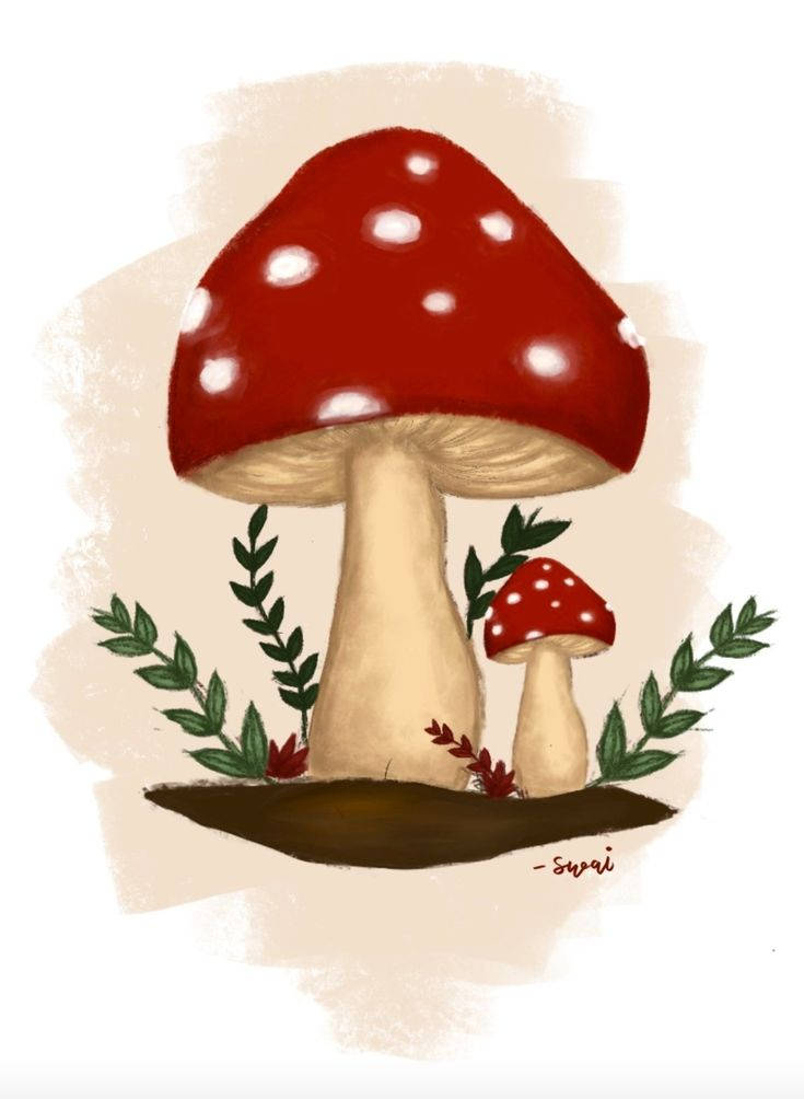 Indie Kid Aesthetic Red Mushroom Wallpaper