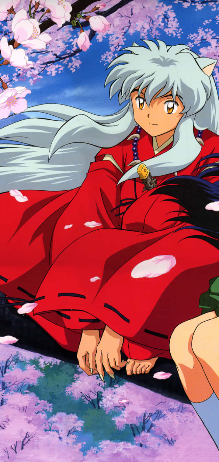 Inuyasha In Sakura Tree Phone Wallpaper