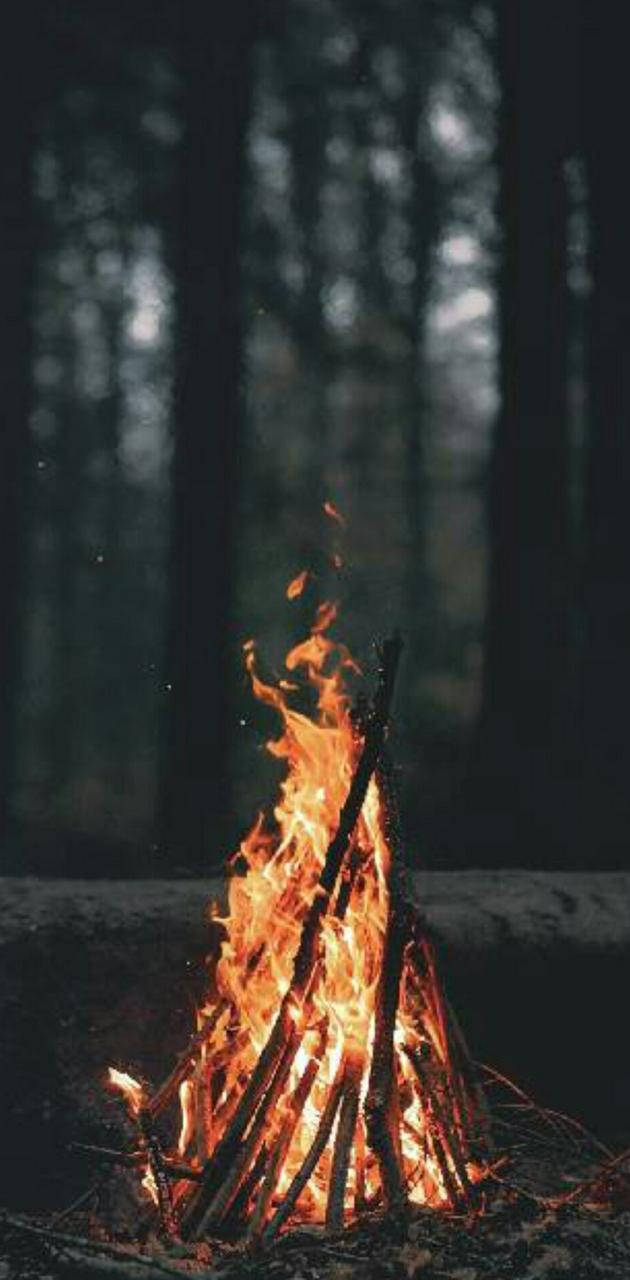 Iphone Bonfire Aesthetic Vibes Forest Wallpaper