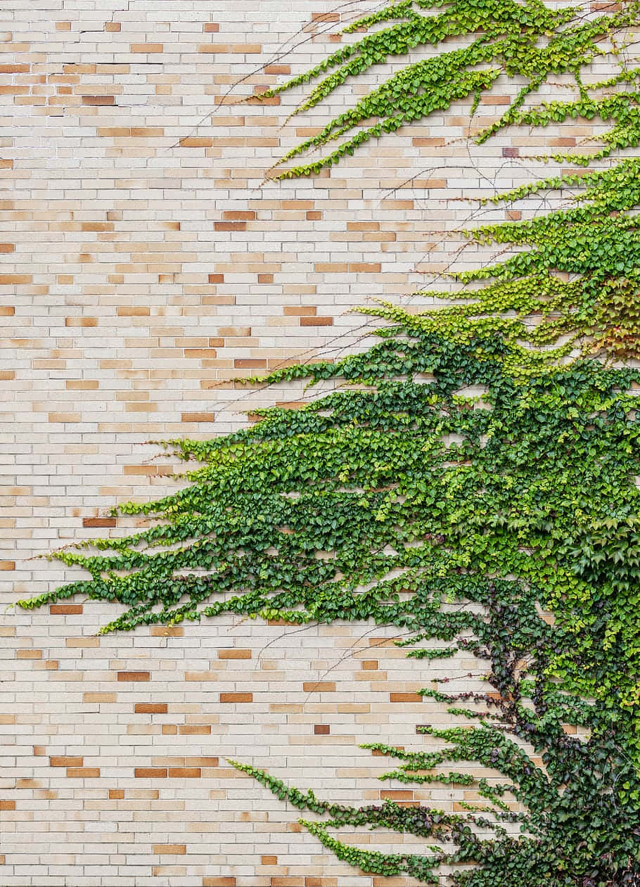 Ivyon Brick Wall Pattern Wallpaper