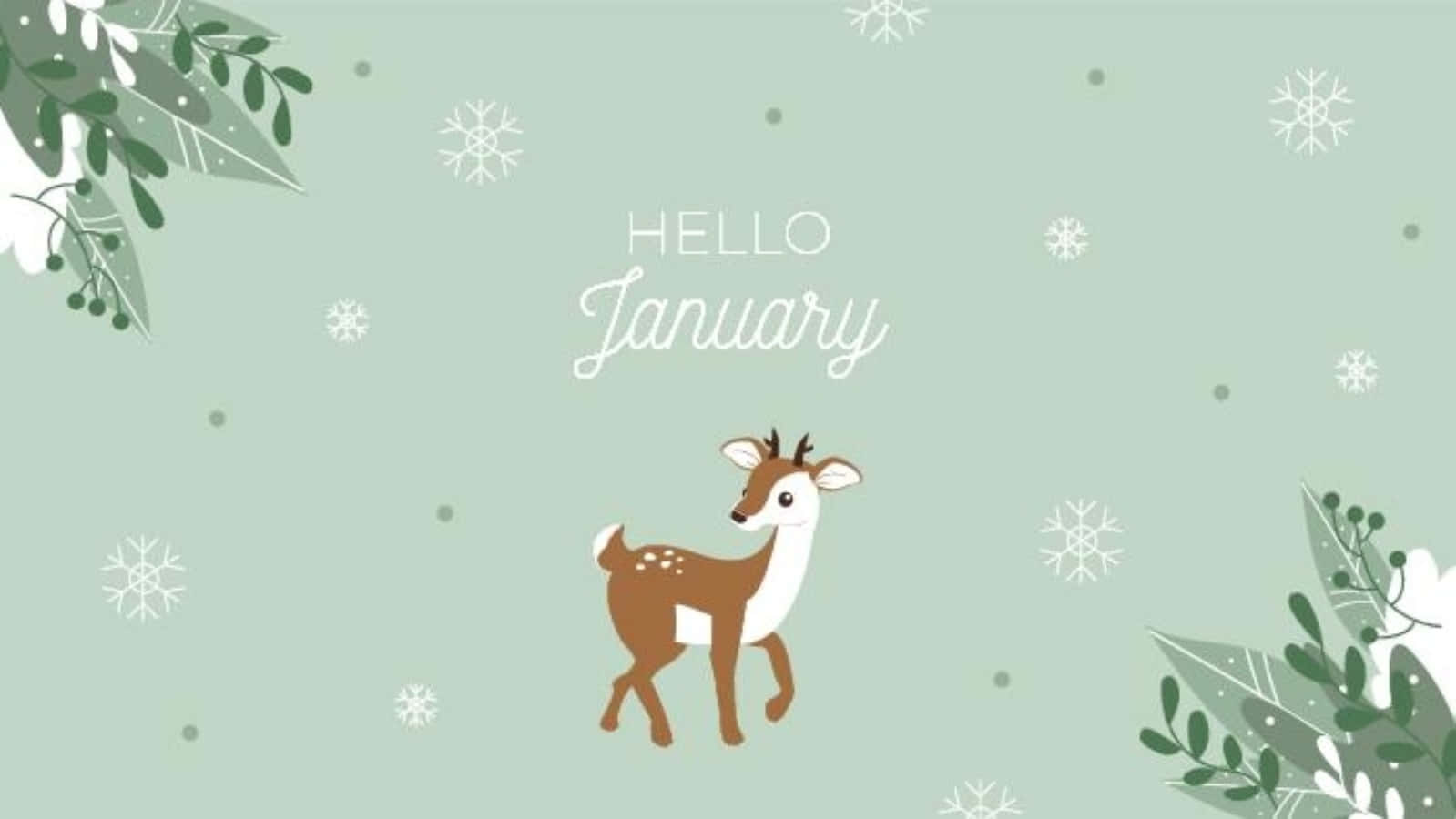 January Blues? 🐻☁️ Wallpaper