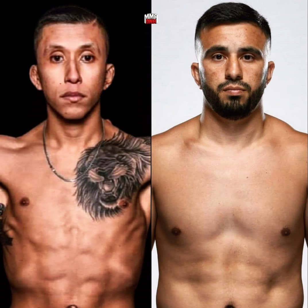 Jeff Molina Versus Zarrukh Adashev Wallpaper