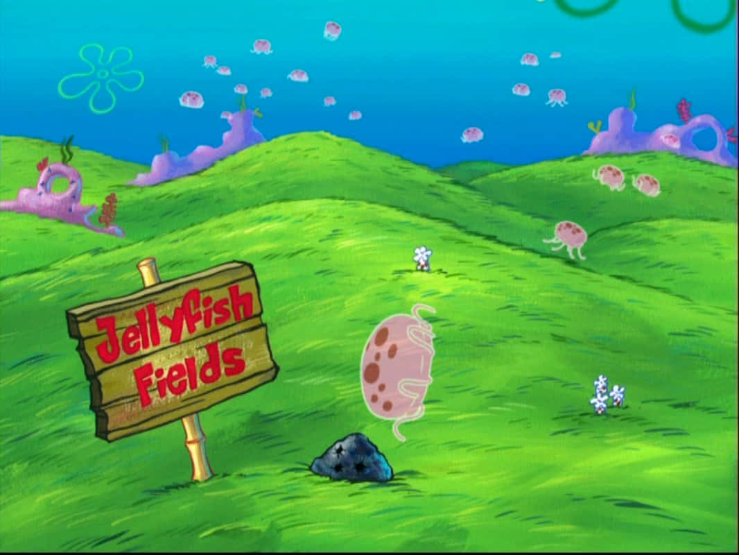 Jellyfish Fields Signpost Wallpaper