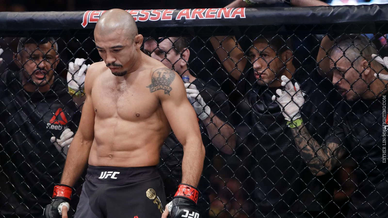 Jose Aldo Mmaist Wallpaper