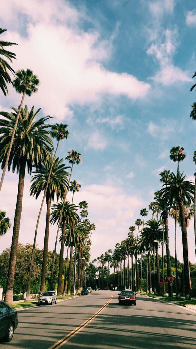 Joyful Summer In California Wallpaper
