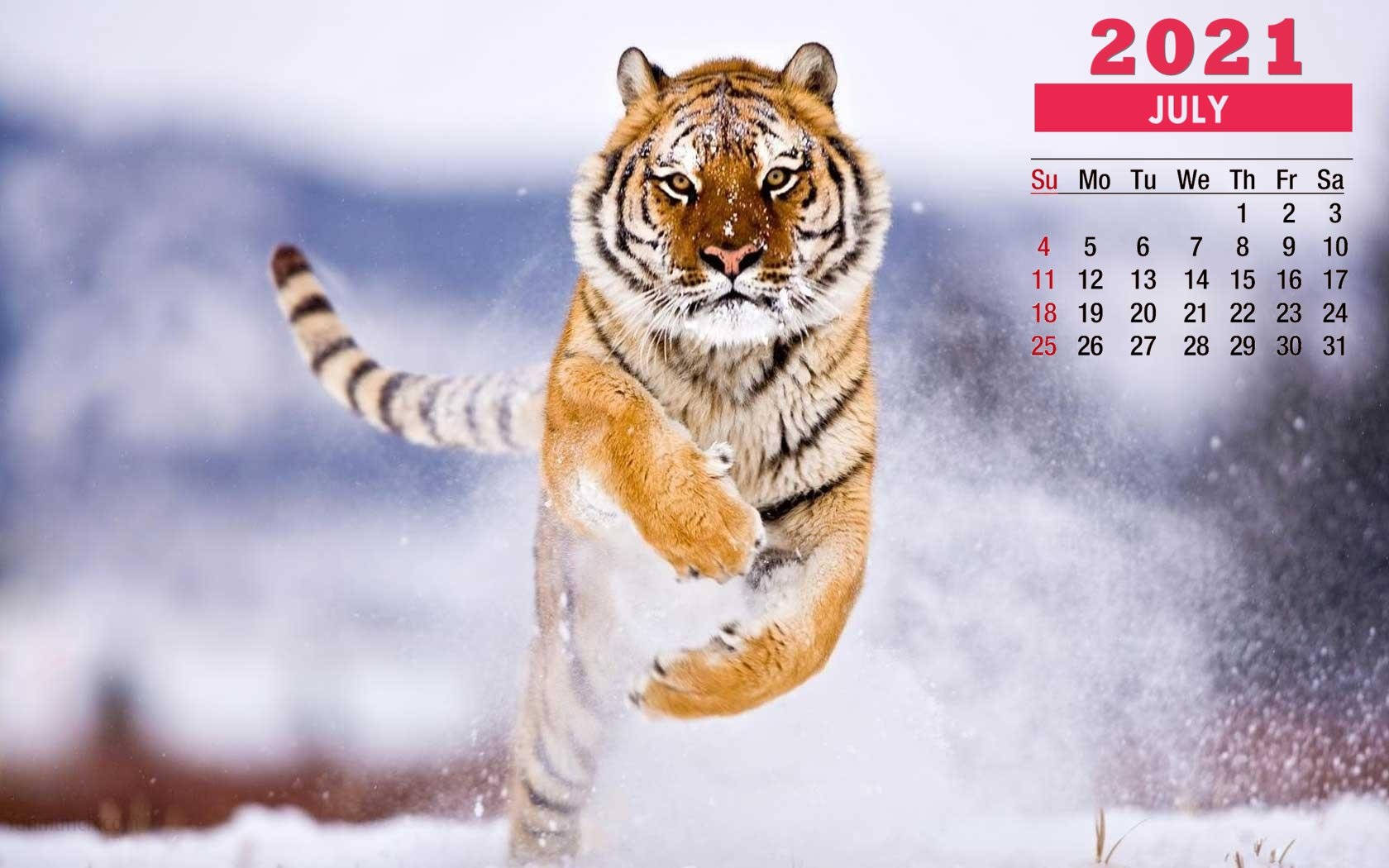 July 2021 Calendar With Tiger Wallpaper
