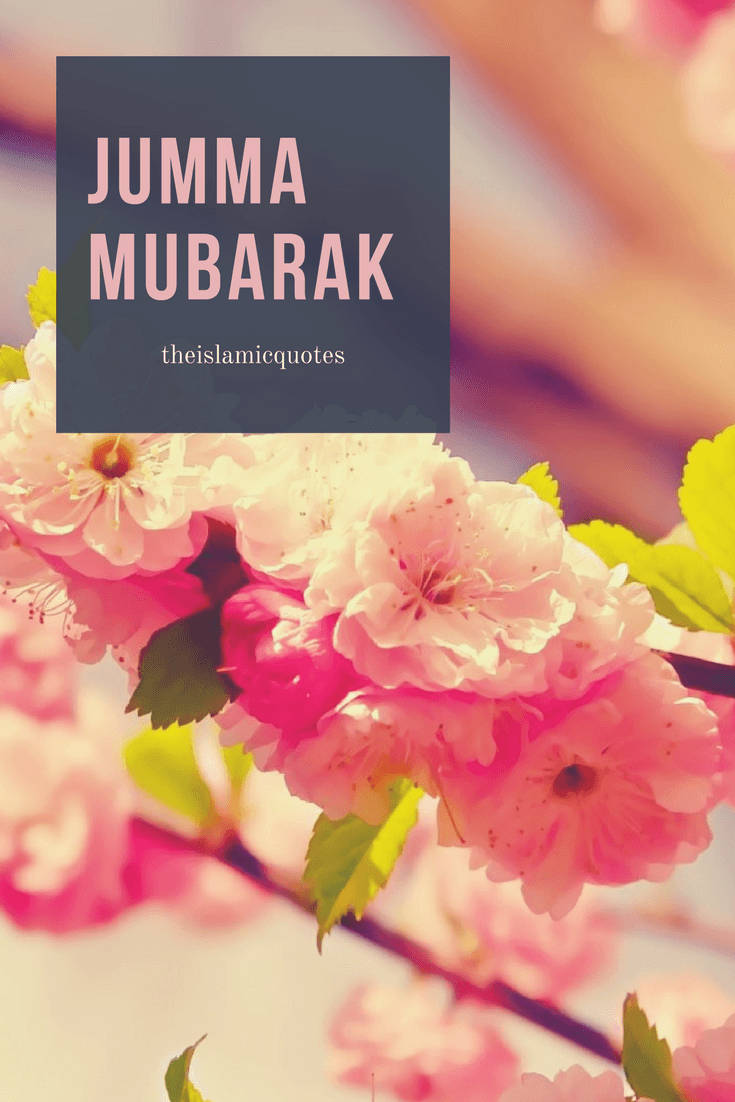 Jumma Mubarak Pink Flowers Wallpaper