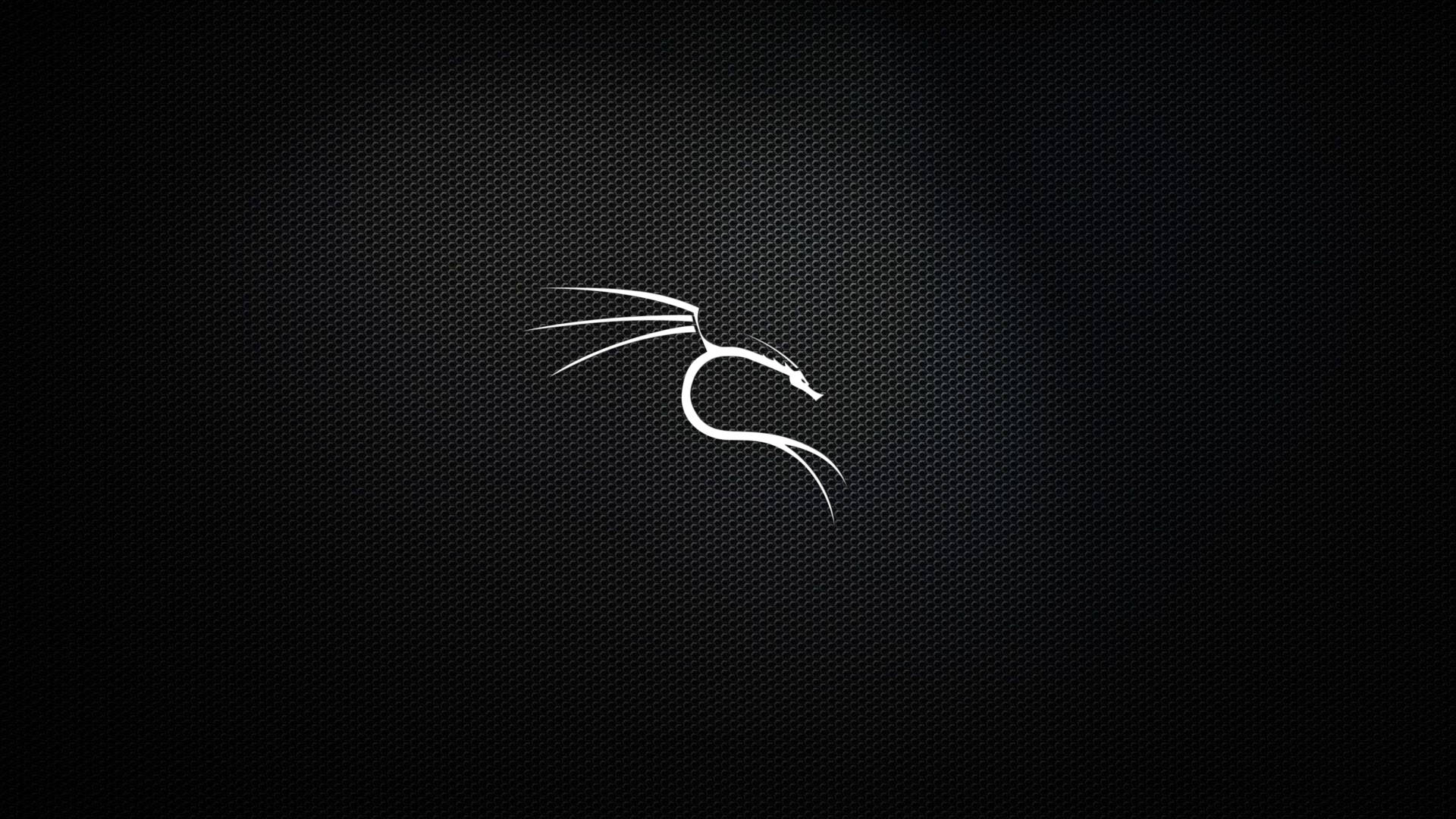 Kali Linux - ForensicTools.dev