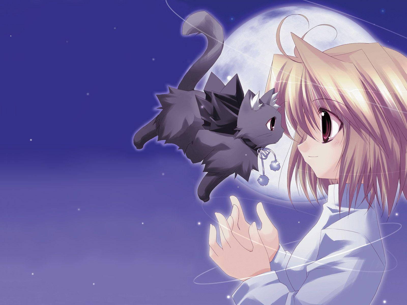 Kawaii Anime Arcueid Brunestud With Flying Cat Wallpaper