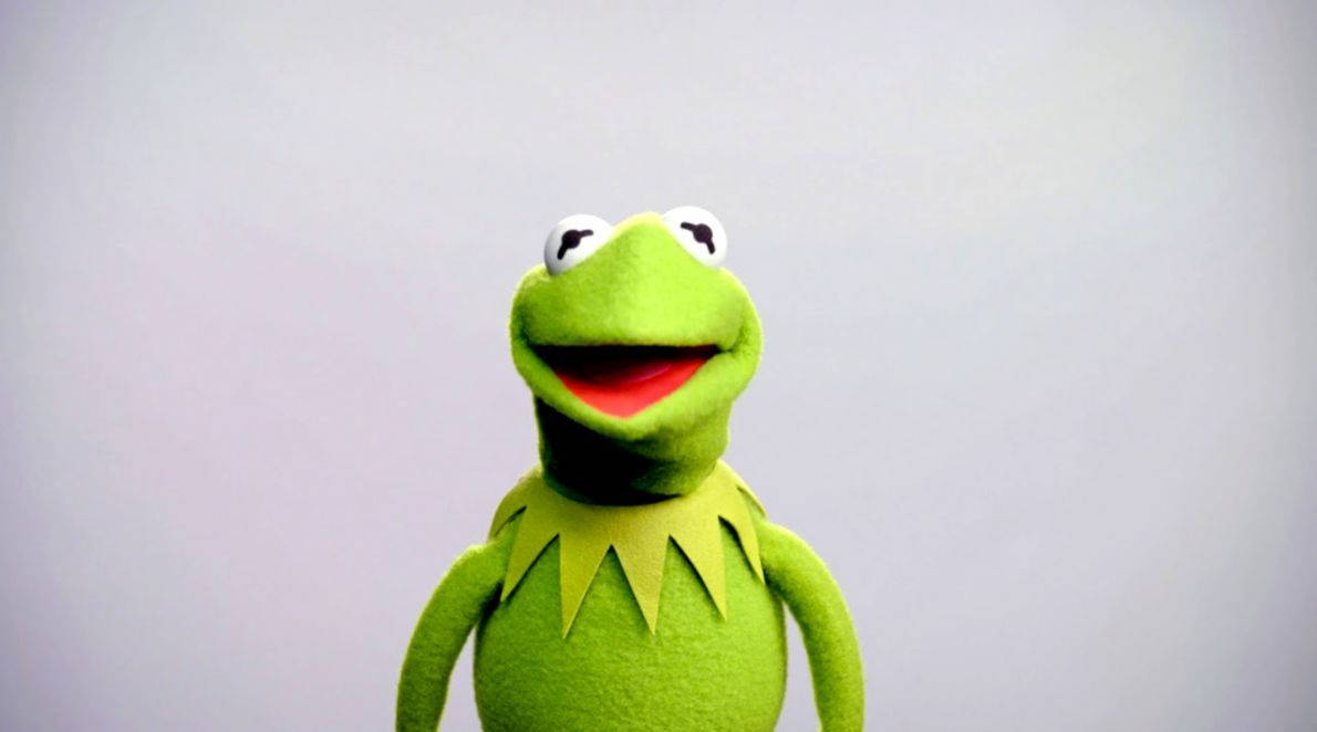 Kermit The Frog Headshot Wallpaper