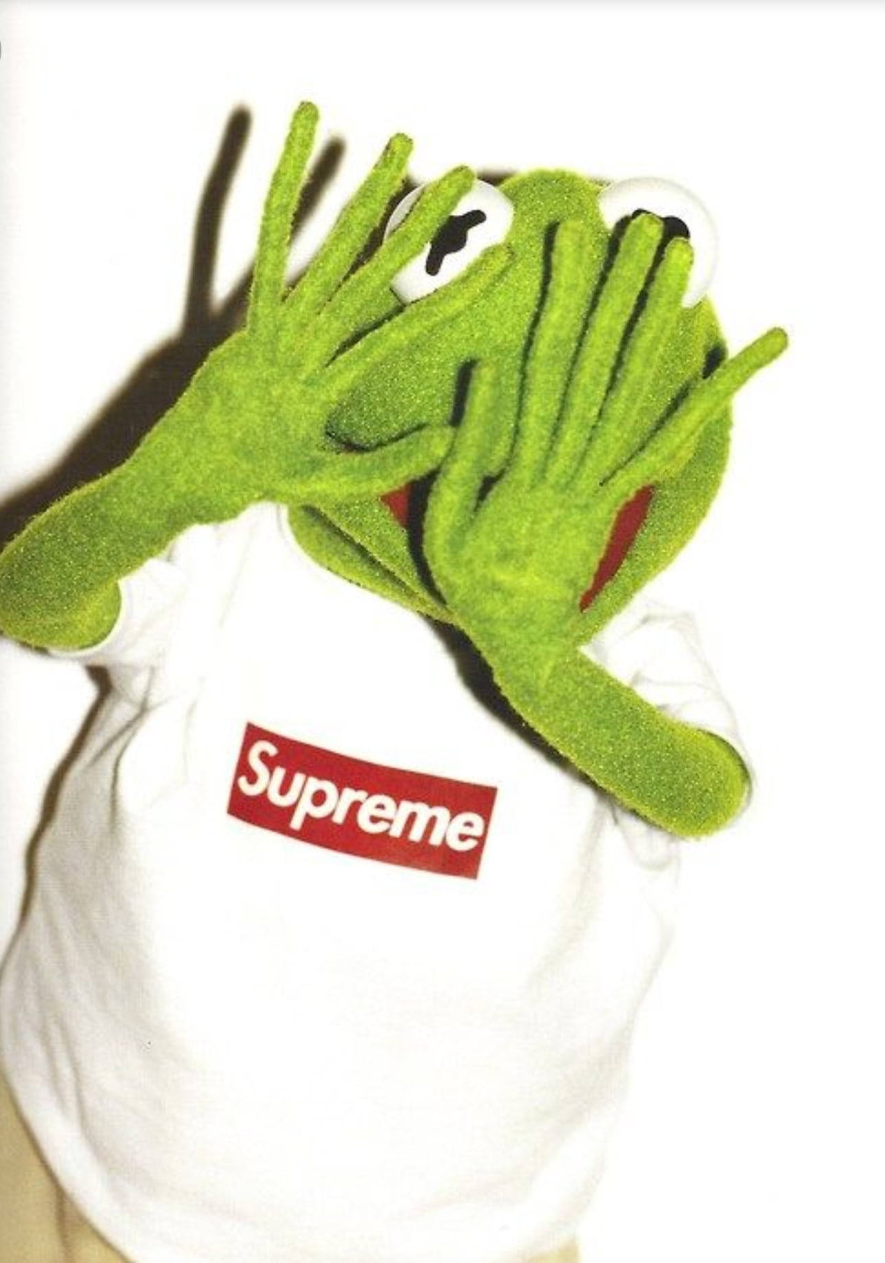 Kermit The Frog The Muppets Supreme Shirt Wallpaper