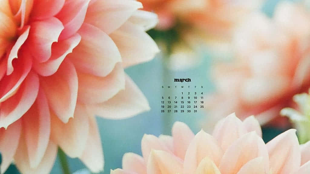 Kick Off Spring Time With A Colorful March Desktop Wallpaper Wallpaper