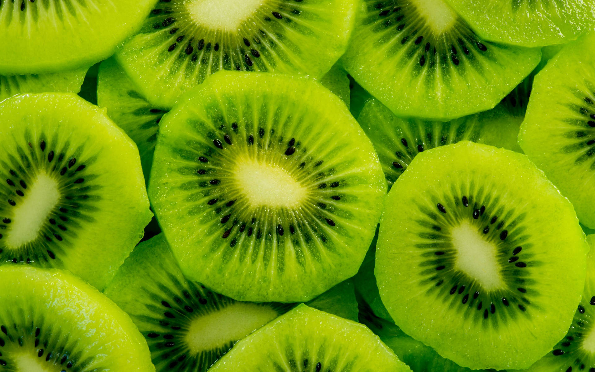 Close-up, verdant sprout emerges from soil, a symbol of natures resilience  Vertical Mobile Wallpaper AI Generated 30317757 Stock Photo at Vecteezy