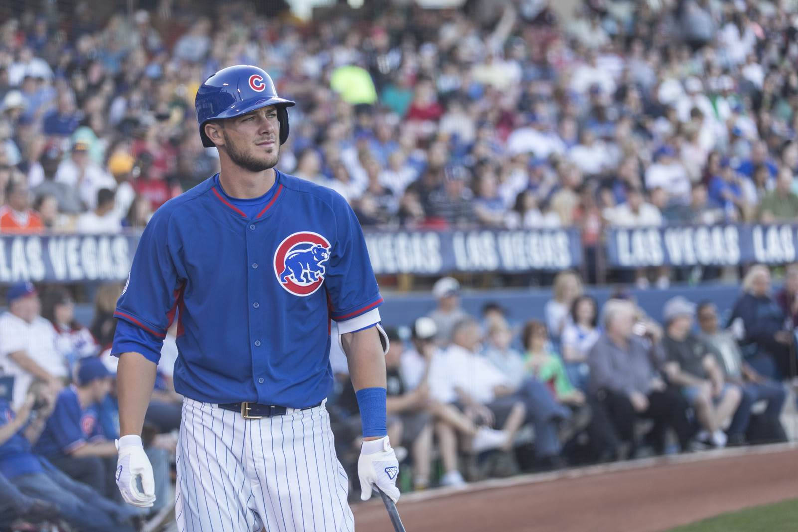 Kris Bryant On The Sidelines Wallpaper