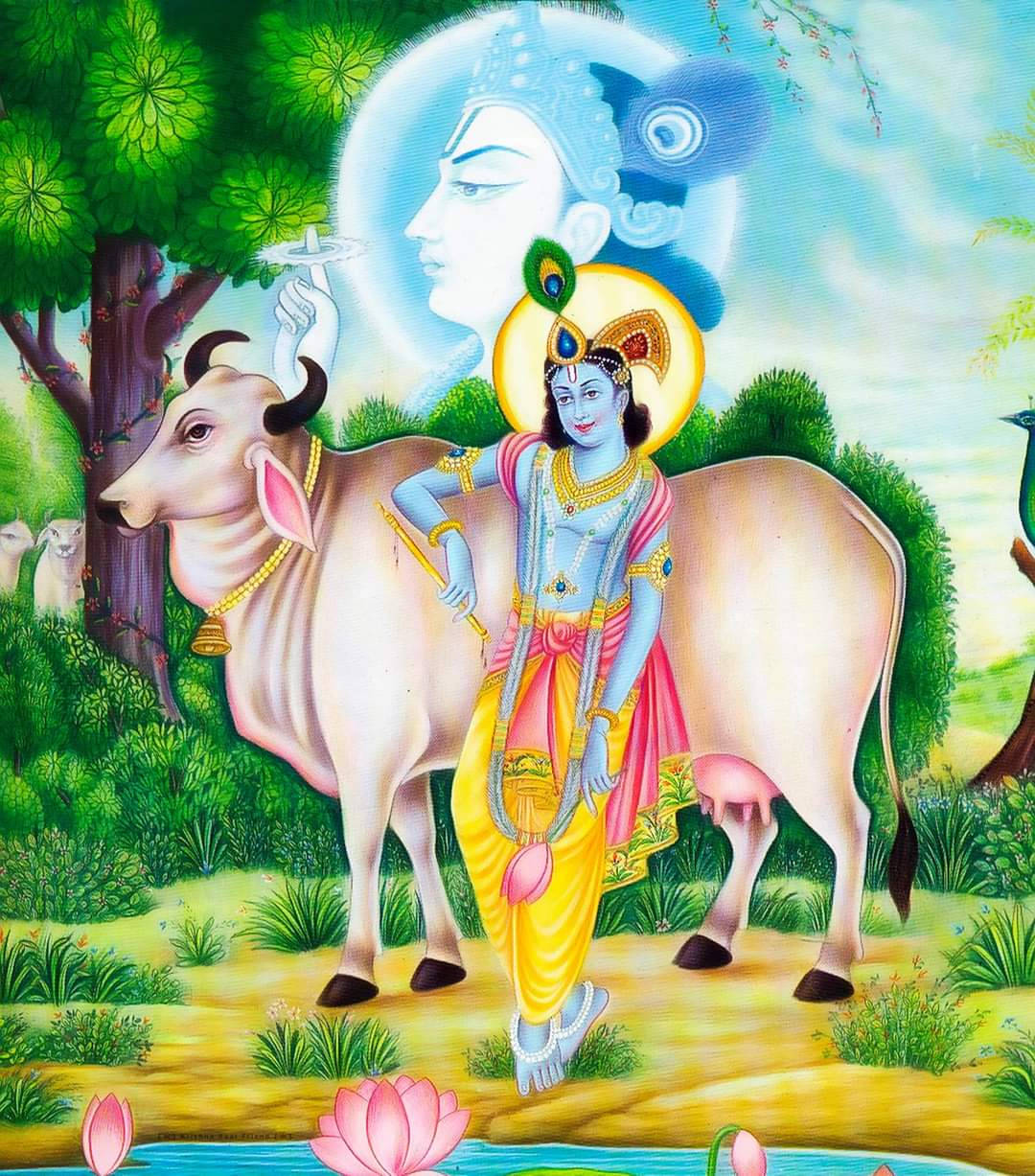 Krishna Hd Cow Lotus Art Wallpaper