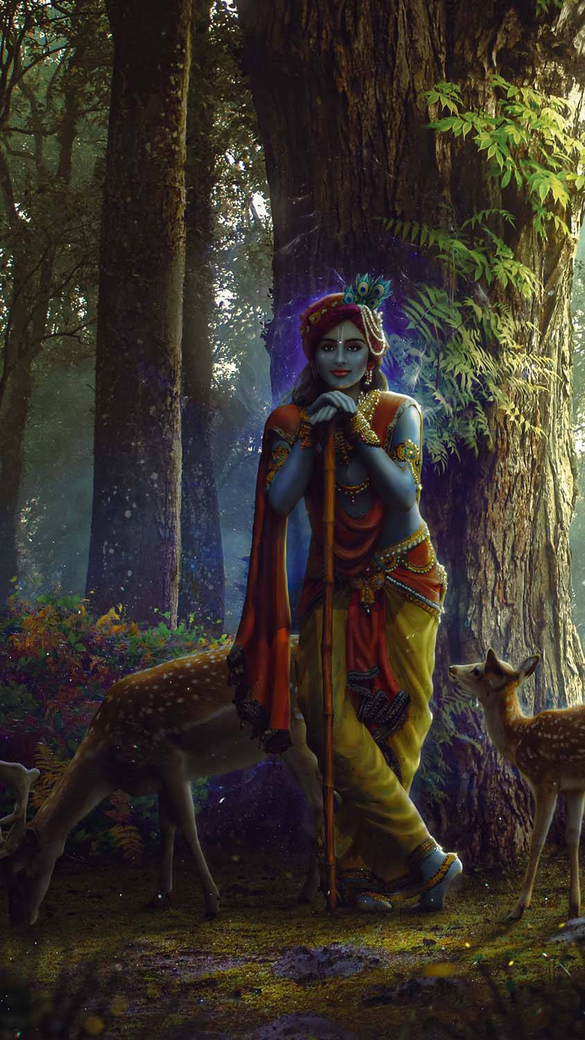 Krishna Iphone In Enchanted Forest Wallpaper