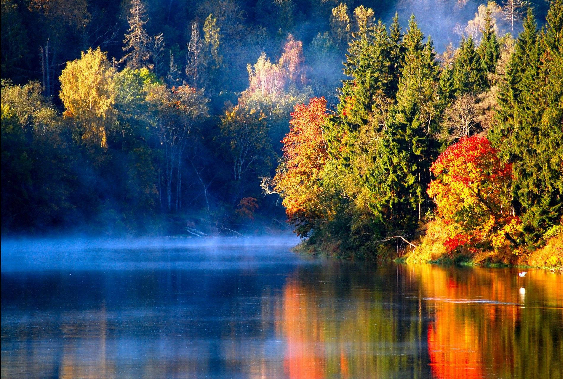 Lake View With Colorful Trees Wallpaper