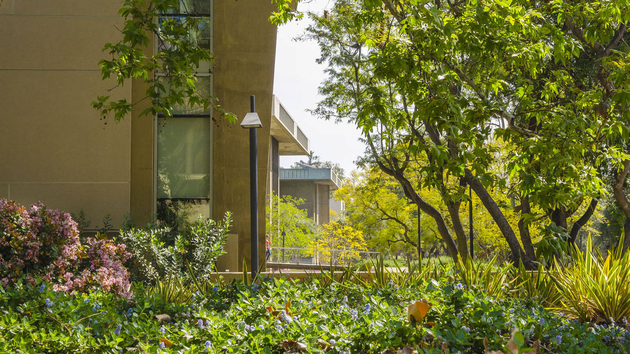 Lamp Post In Garden At Caltech Wallpaper