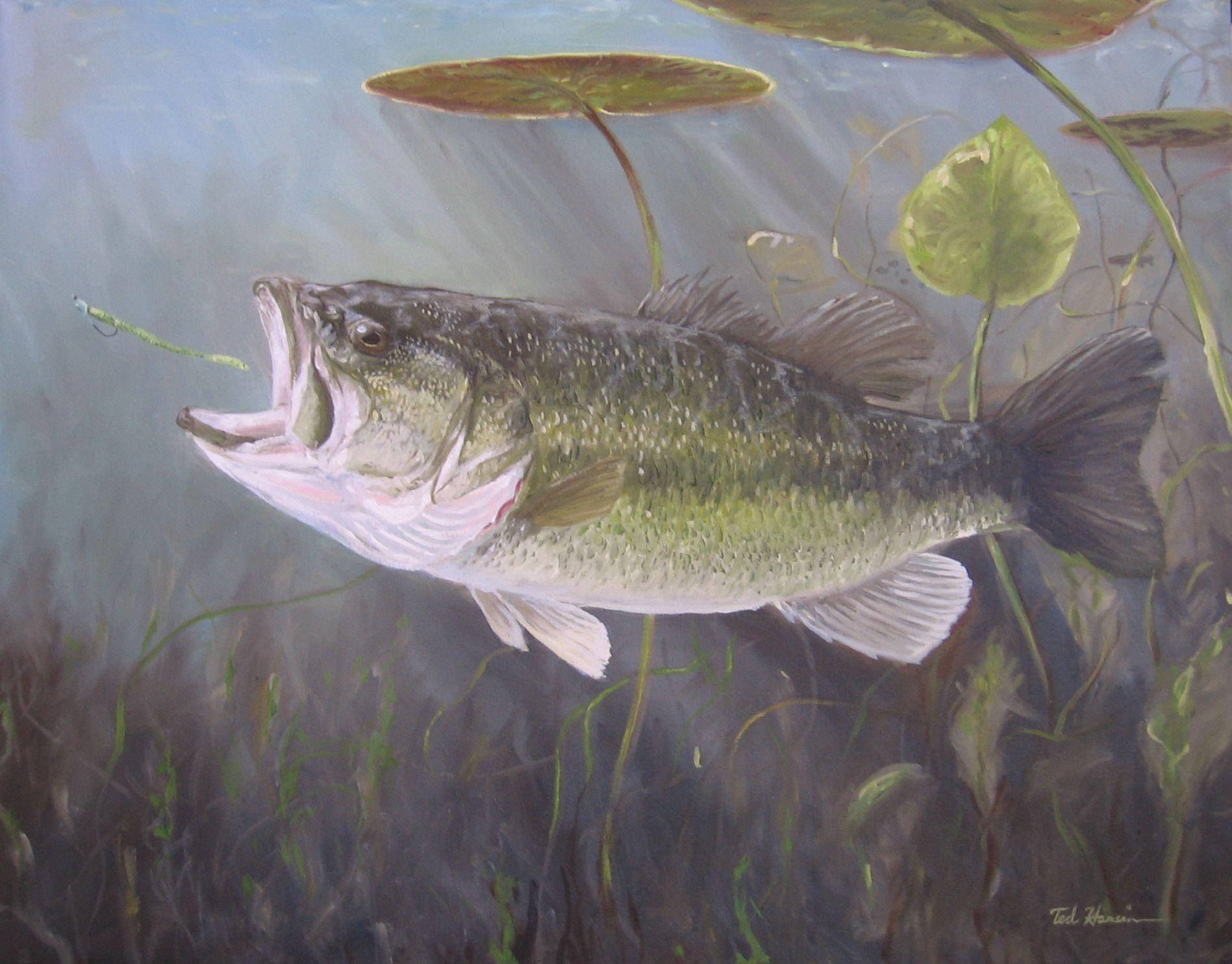 Largemouth Bass On The Line Wallpaper