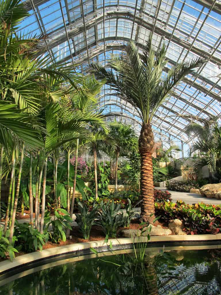 Lauritzen Gardens Omaha Wallpaper