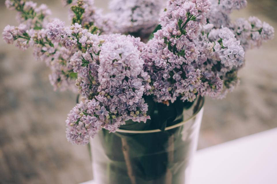 Lavender Aesthetic Flowers In A Vase Wallpaper