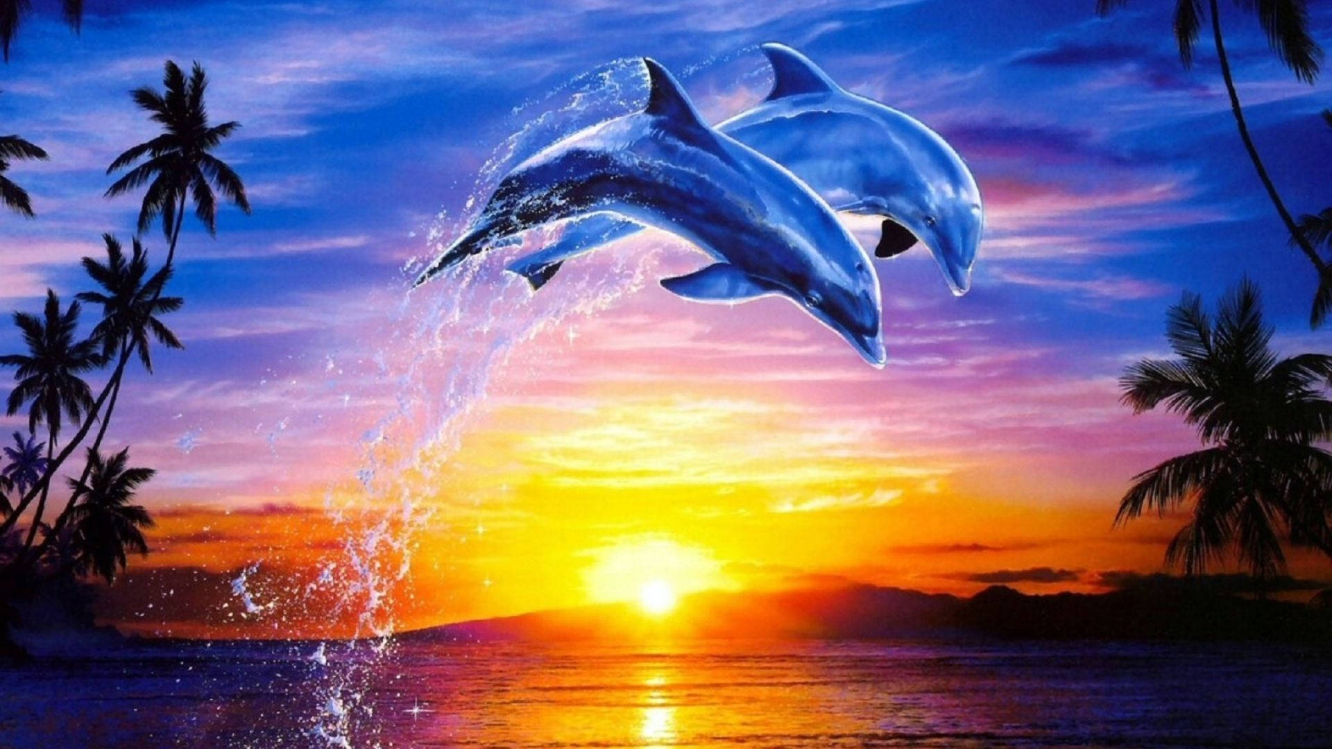 Flat Illustration Poster Background Image Sunset Stars Dolphin Splash  Backgrounds | PSD Free Download - Pikbest