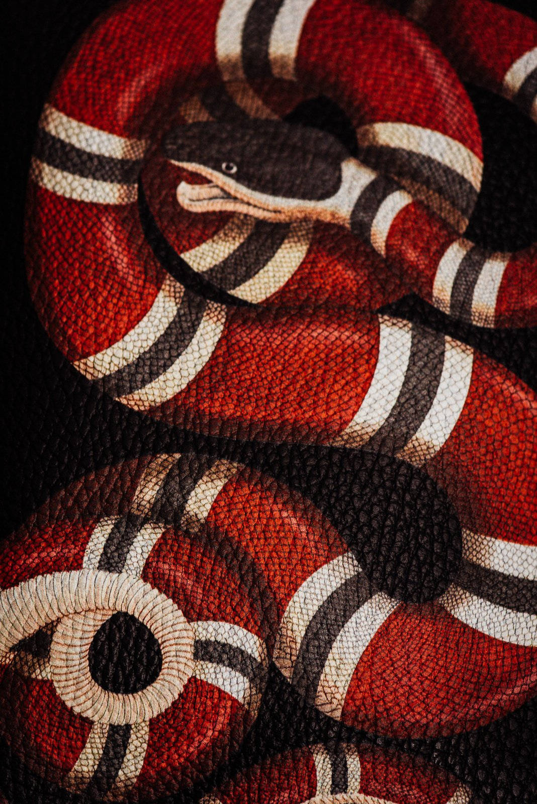 Leather Gucci King Snake Wallpaper
