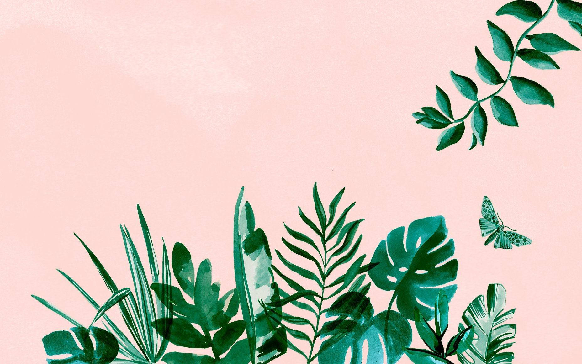 Leaves In A Pink Pastel Aesthetic Desktop Wallpaper