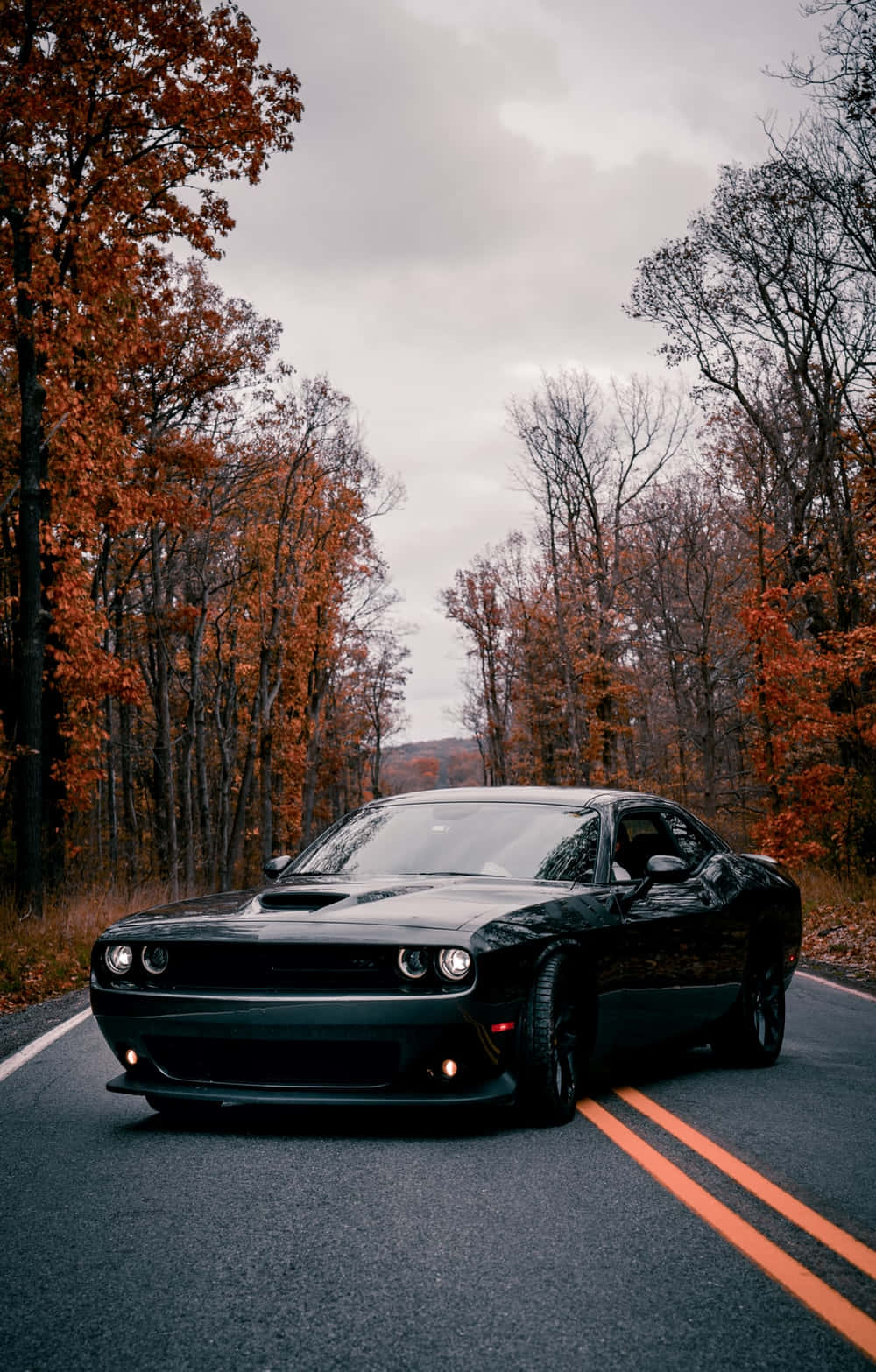 Legendary Style In 4k - Dodge Challenger Wallpaper