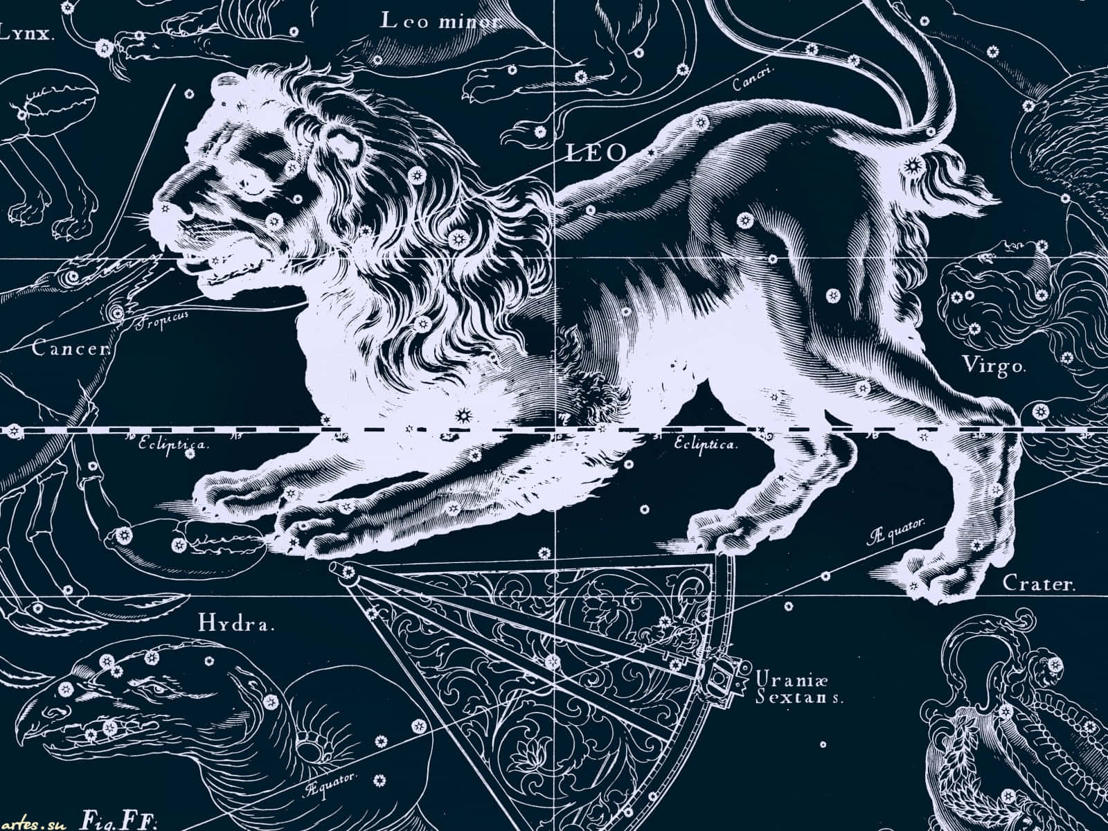 Leo Constellation Astronomical Illustration Wallpaper