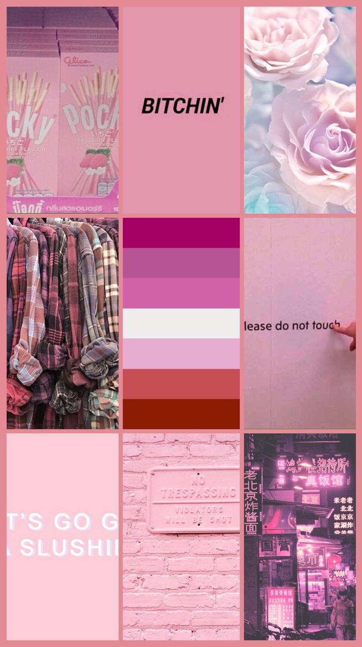 Lesbian Flag Pink Collage Wallpaper