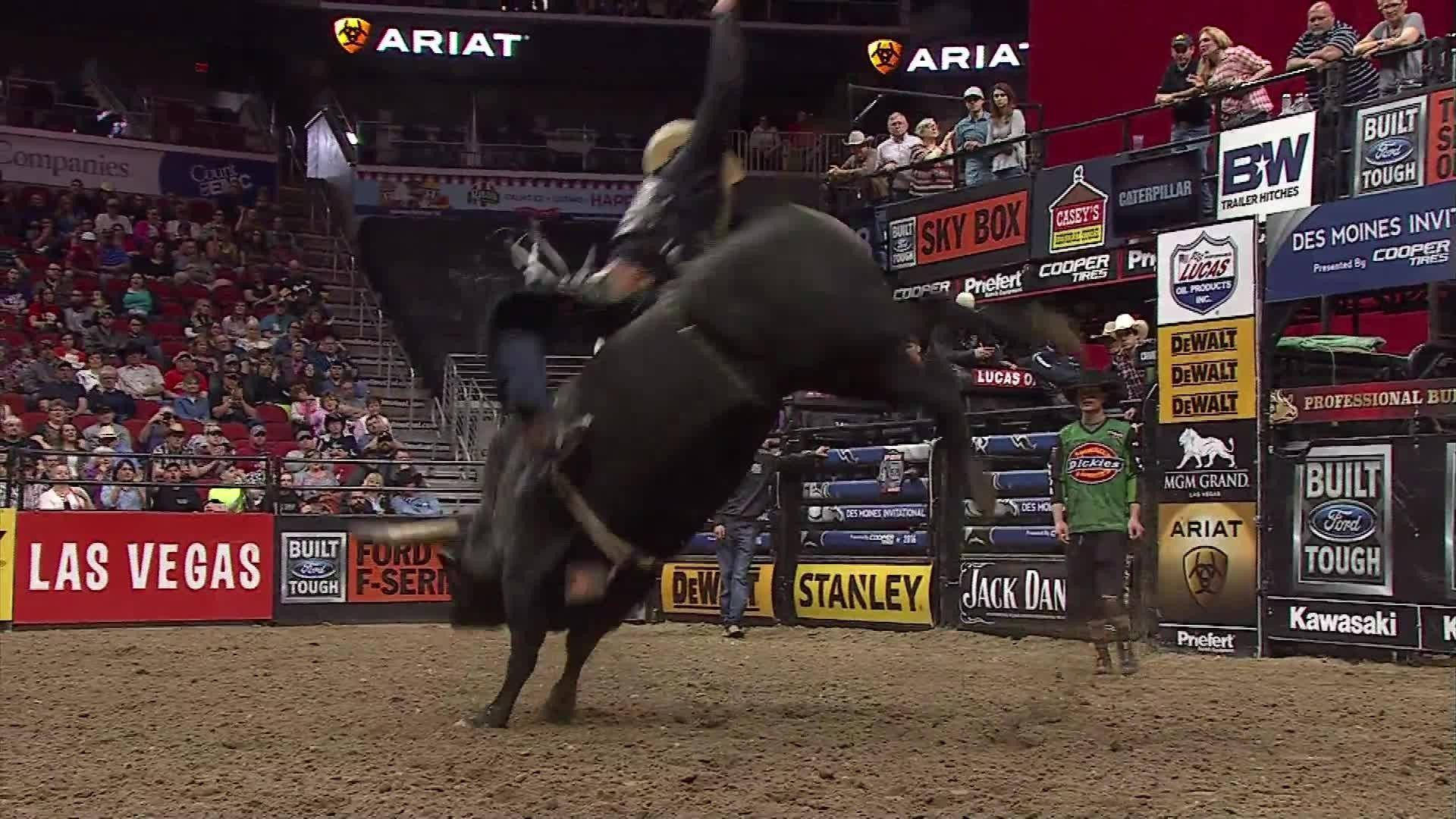 Bull Riding HD Wallpapers (100++) - MrWallpaper.com