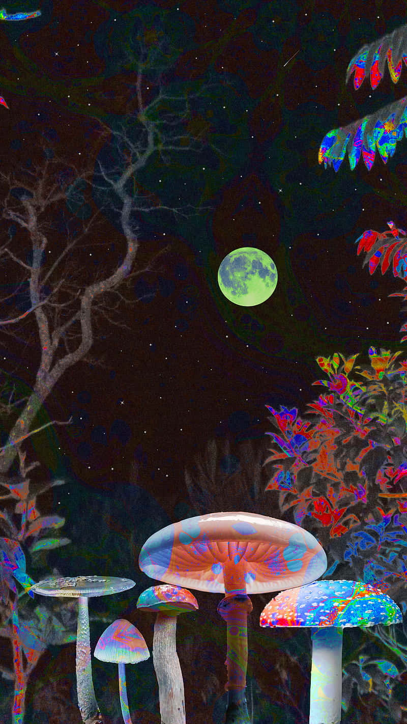 Let Your Imagination Soar With This Majestic Trippy Mushroom Wallpaper