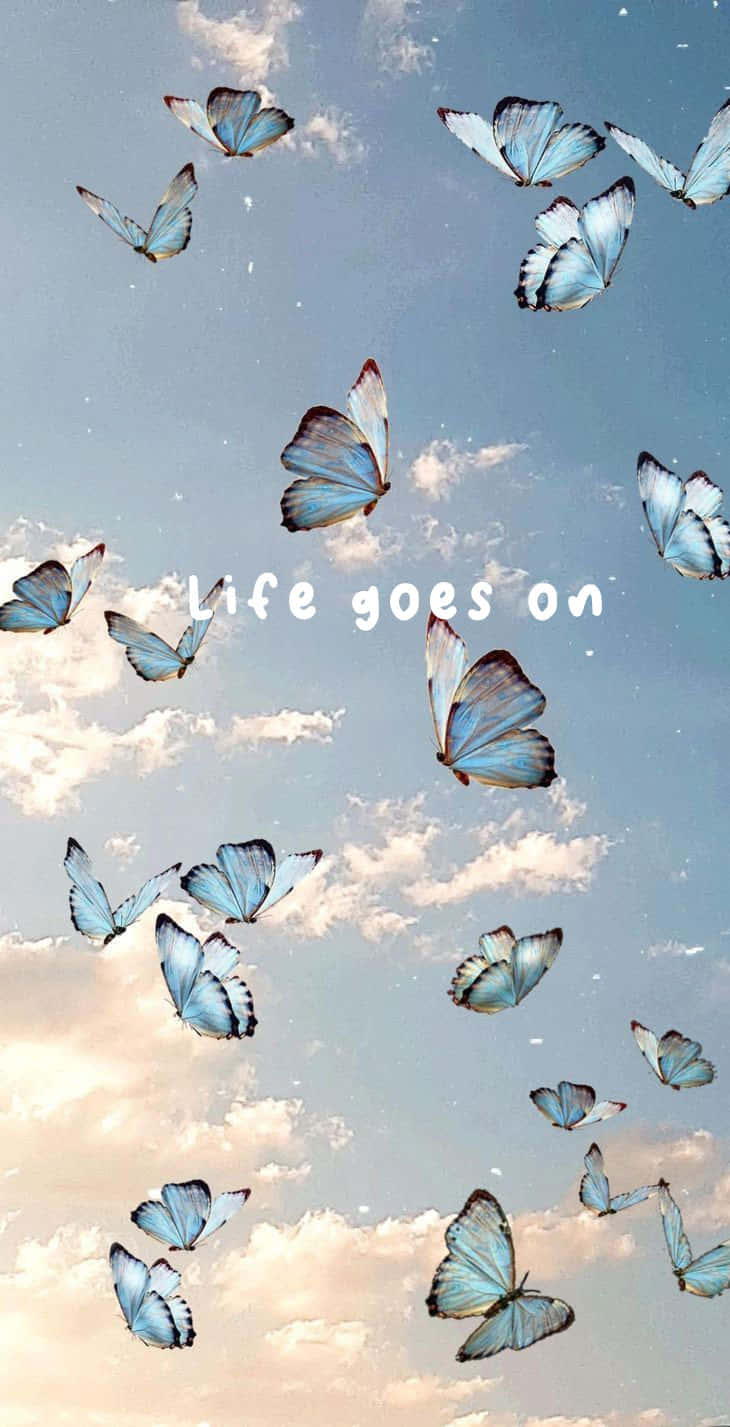 Life Goes On Butterflies Sky Wallpaper