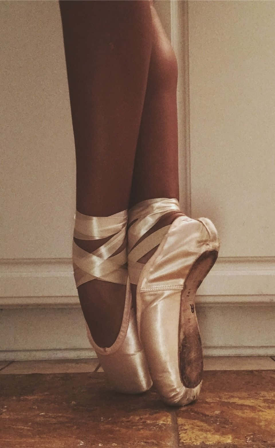 Light Brown Pointe Shoes Wallpaper