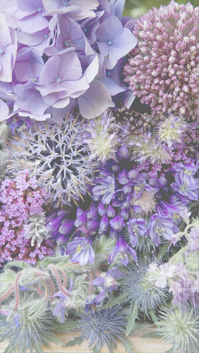 Lilac And Purple Floral Iphone Wallpaper