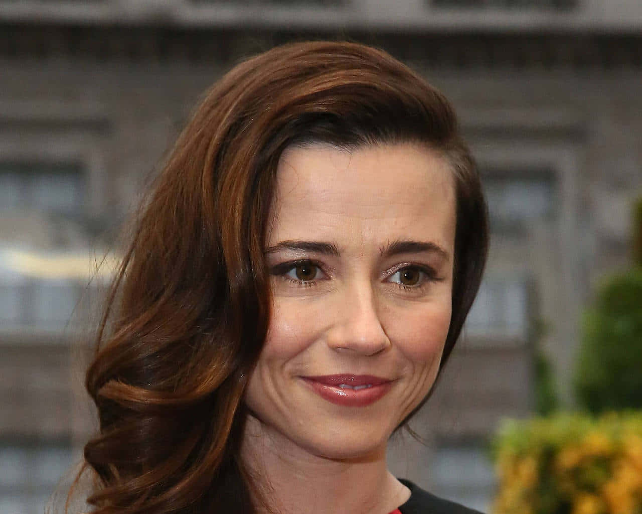 Linda Cardellini Radiant Smile Wallpaper