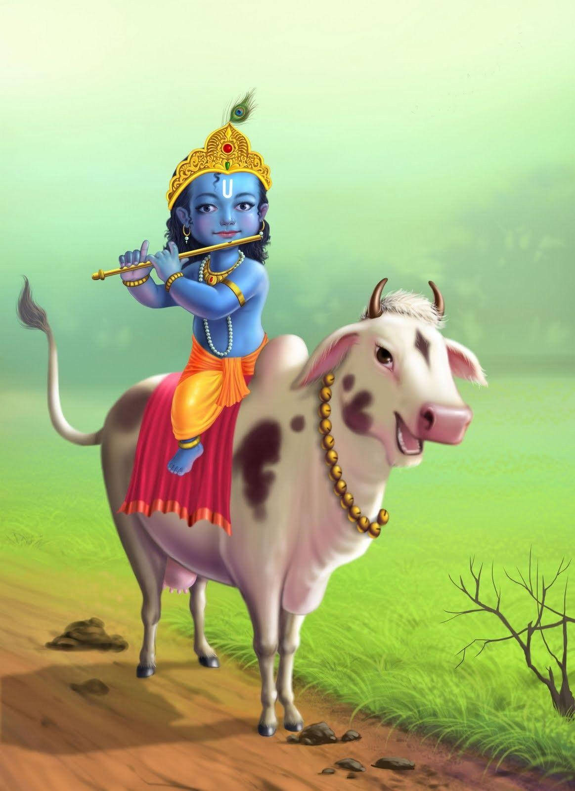 Little Krishna In Cow Wallpaper
