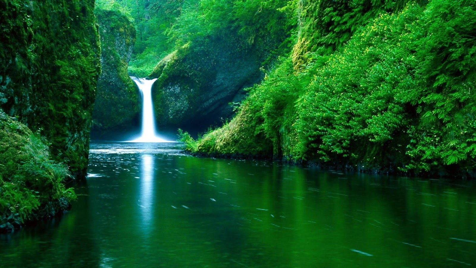 Live Beautiful Waterfall Wallpaper