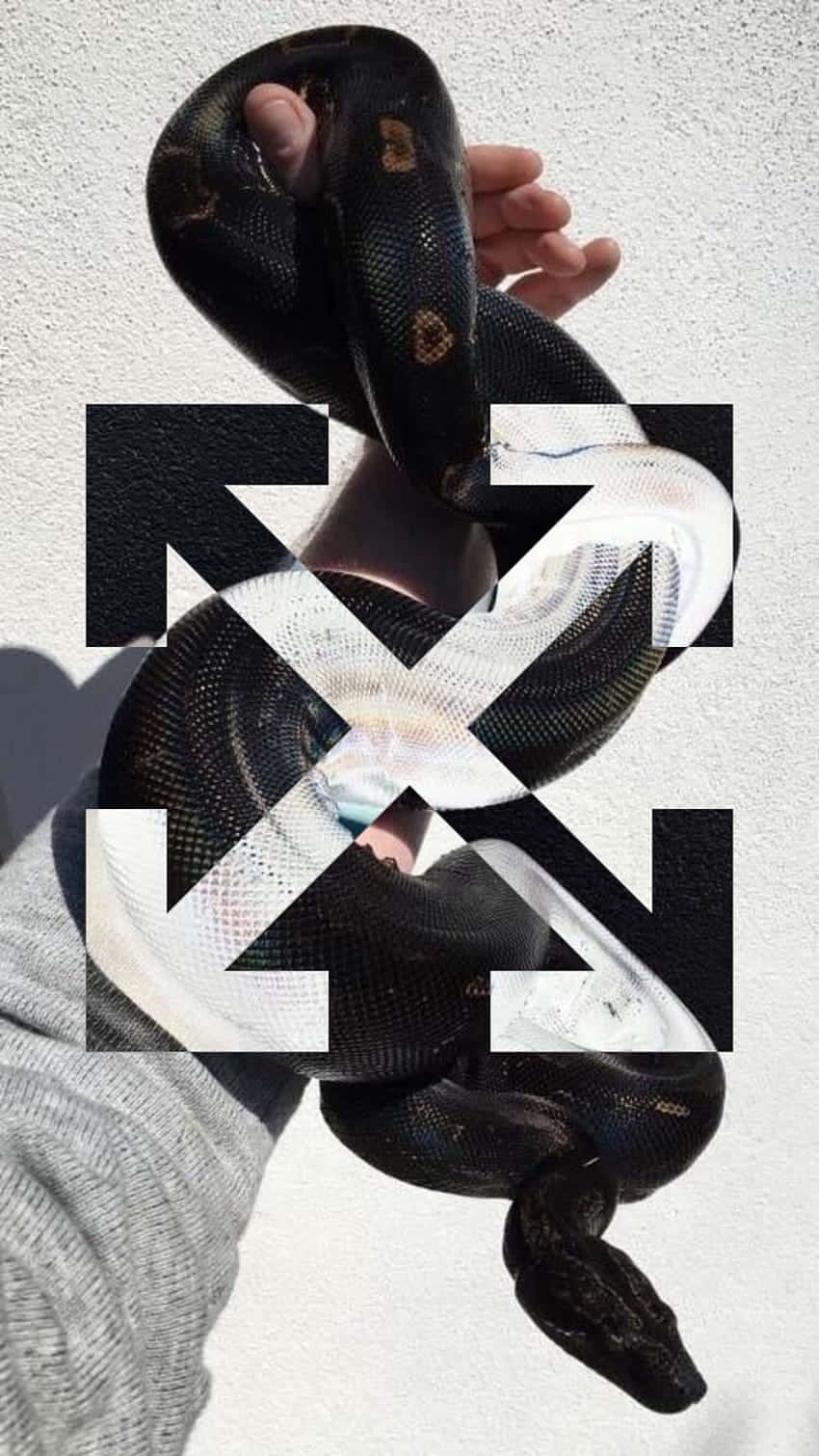 Logo And Snake Off White Iphone Wallpaper